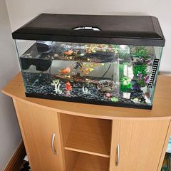 Aquarium and extras