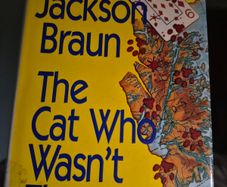 The Cat That Wasn't There