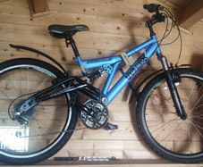 Raleigh bike