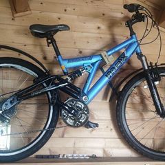 Raleigh bike