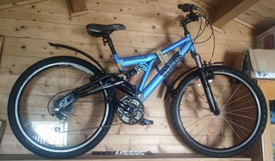 Raleigh bike