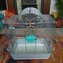 bird cage Image 2