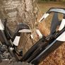Cannondale Super Six Evo 105 Disc - (Black)- Size 48 (XS) Image 9