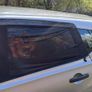 car window shades Image 2