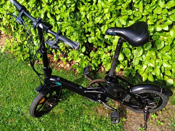 Fiido D3 Electric bike