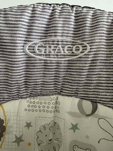 Graco Baby Swing