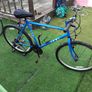 mountain bike Image 2