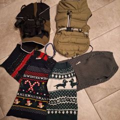 Dogs coats and jumpers, used, but in perfect condition. Size 45. Also an extra small collar thrown in.