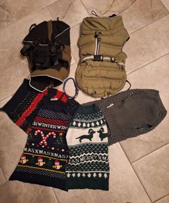 Dogs coats and jumpers, used, but in perfect condition. Size 45. Also an extra small collar thrown in.