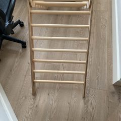 Goodevas triangle ladder and sliding board
