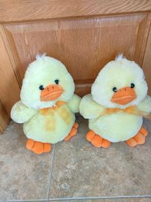 Easter Chicks