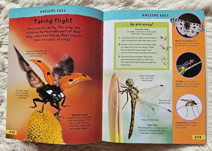 Miles Kelly Junior Encyclopedia