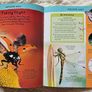 Miles Kelly Junior Encyclopedia Image 6