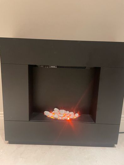 Electric fire