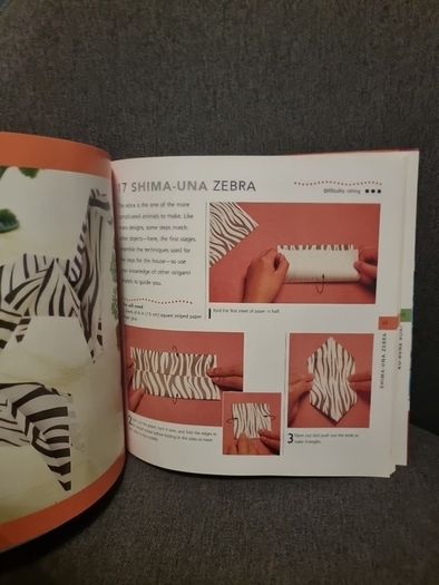 Origami for Children: Book & paper pack with 35 projects
