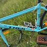 Trek Lexa Lightweight Road Bike Image 2
