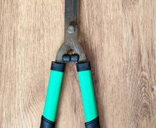 Garden Hedge Shears