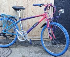 Mens Bike