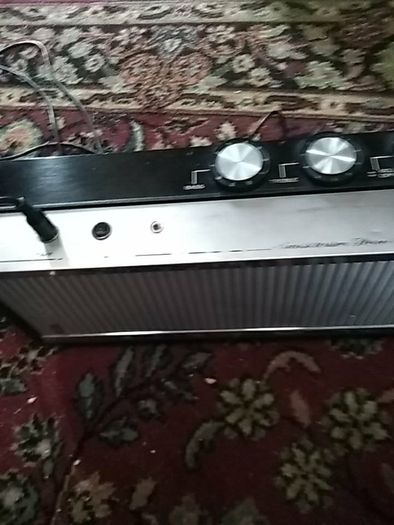 Rare Bush Amp