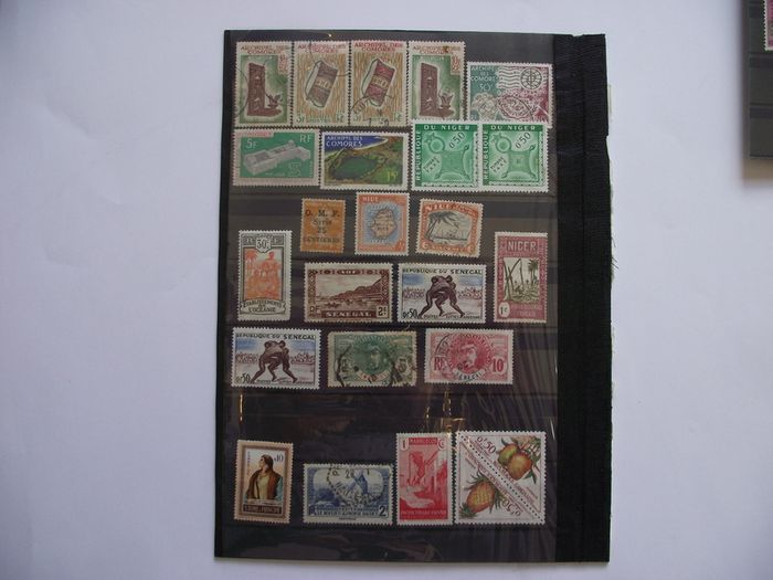 The collection of old stamps from French colonies on stock cards