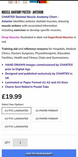 Physio Chartex Anatomy A1 Laminated Poster For Sale in Donabate, Dublin ...