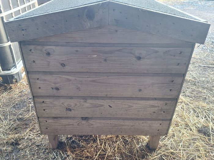 Dog Kennel