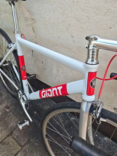 Giant Bowery Size Medium