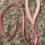 Small Dog Harness and Lead Set Image 8