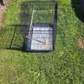 cage Image 5