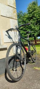Adult Bike