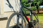 Adult Bike