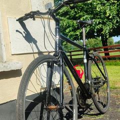 Adult Bike
