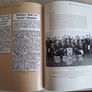 Limerick's Marching Band Tradition Image 4
