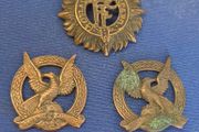 Irish Defence Forces Air Corps cap badge and collars