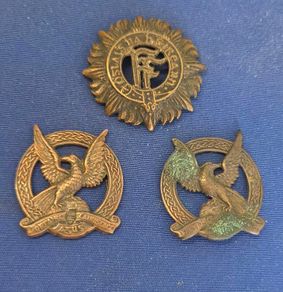 Irish Defence Forces Air Corps cap badge and collars