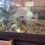 50l Fish tank and accessories Image 2
