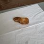 Quartz specimen golden colour Image 8