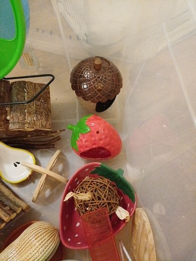 hamster bin cage with accessories