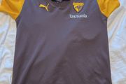 Afl Hawks