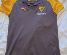 Afl Hawks