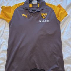 Afl Hawks