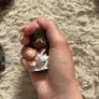 sylvanian Image 5