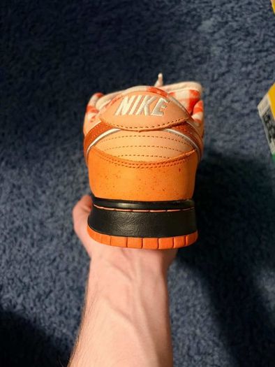 Nike SB Orange lobster
