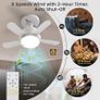 Brand New BLITZWILL Ceiling Fan with Light, Remote Control, Image 3