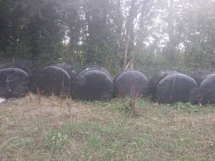 silage
