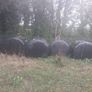 silage Image 2