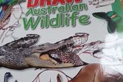 How to Draw Australian Wildlife In Very Good Condition From Pet Smoke Free Home Lots Of Books Listed For 1 2 3 Euro