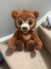 Cubby talking bear