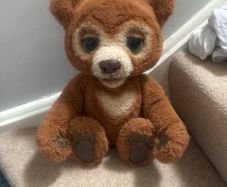Cubby talking bear