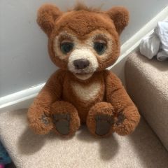 Cubby talking bear